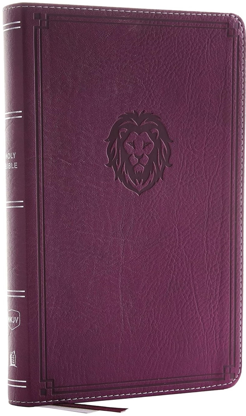 Bible NKJV Thinline Youth Edition
