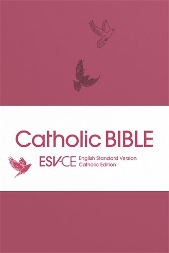 ESV-CE Catholic Anglicized Pocket Edition Pink