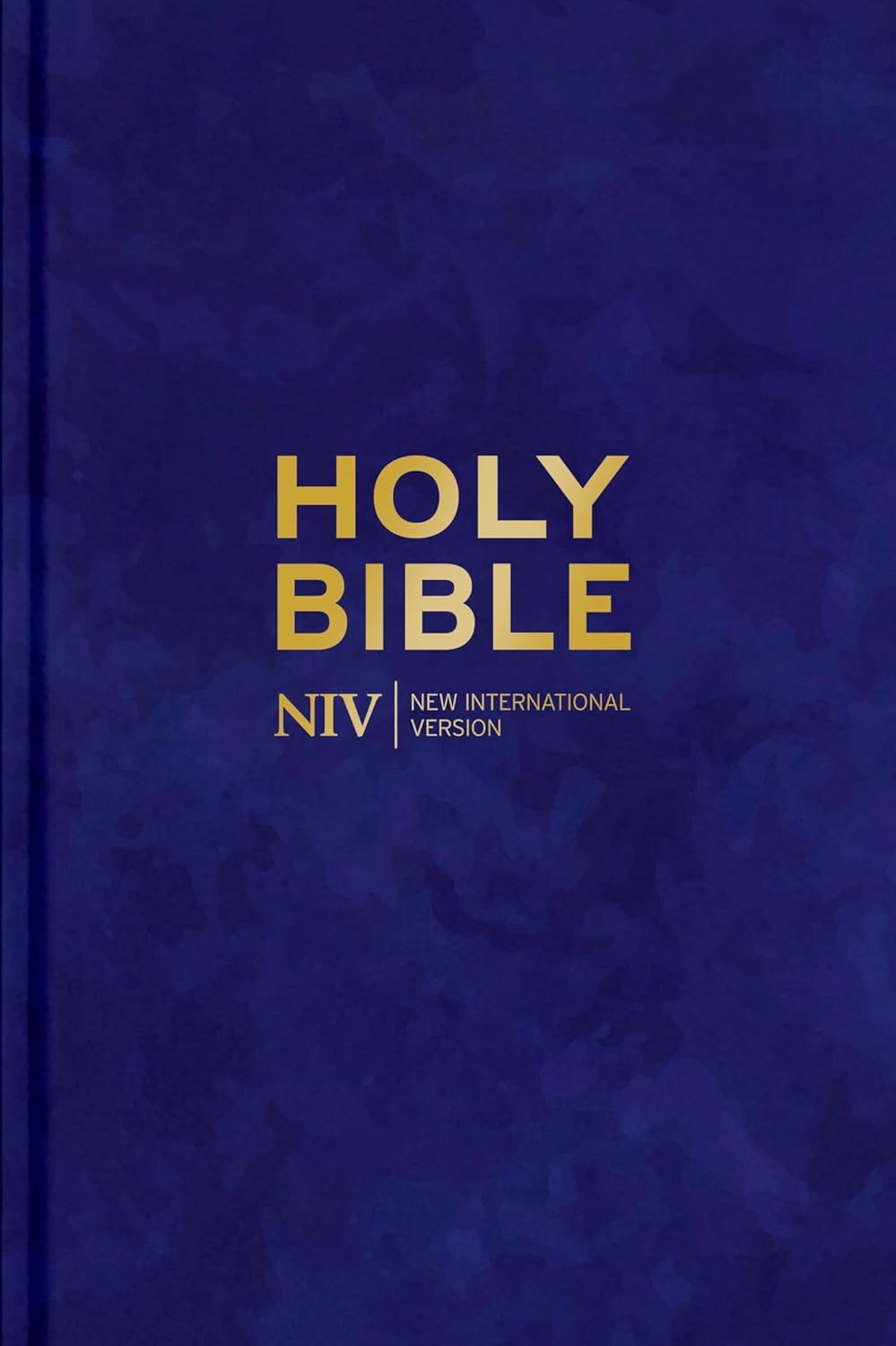 Bible NIV Larger Print Velvet